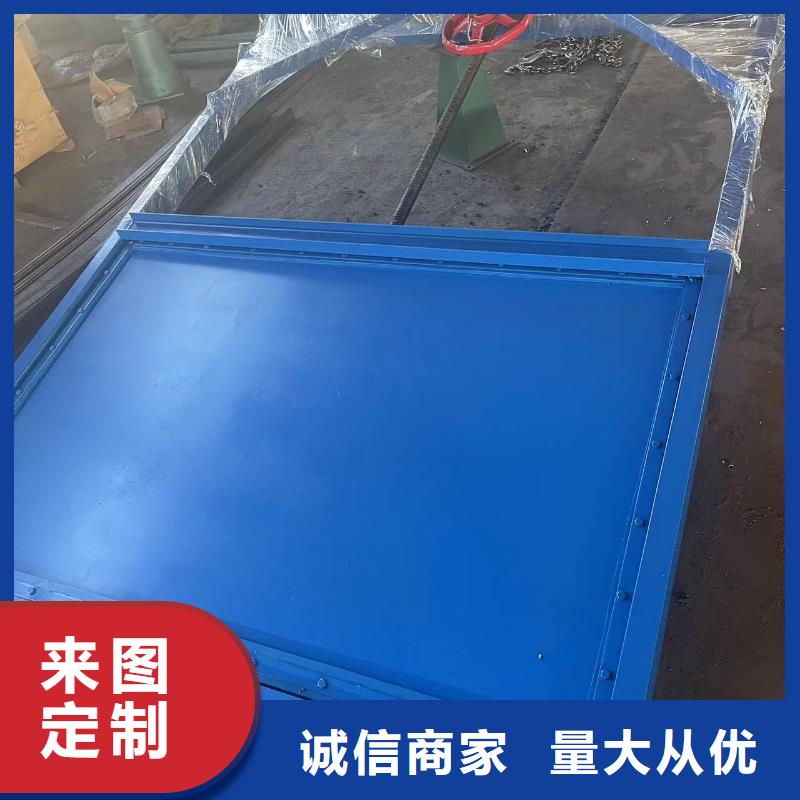 耐腐蚀钢制闸门