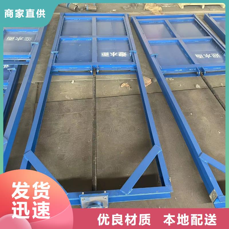 钢坝闸门液压抓梁钢制闸门生产直销厂家