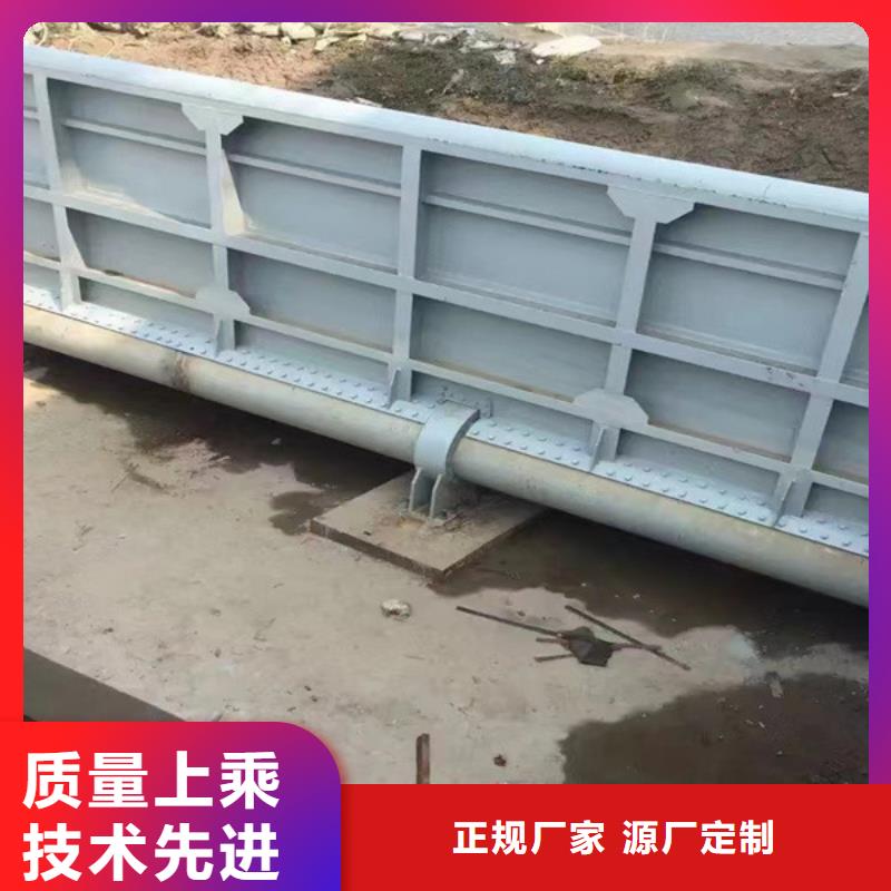 一体式钢制闸门