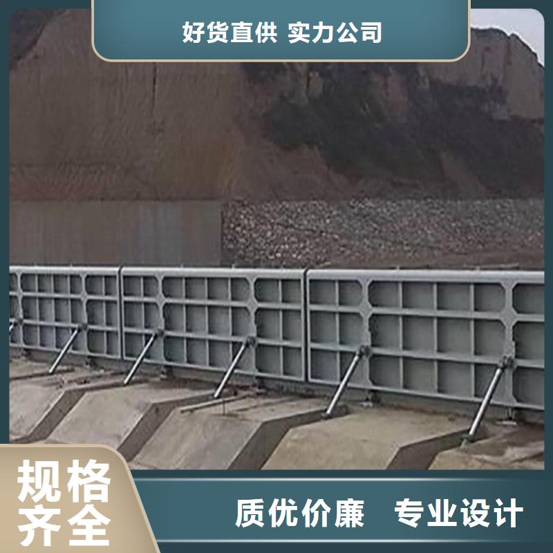 钢制平面闸门厂家参数