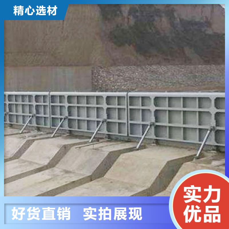 规格齐全的定轮钢闸门经销商