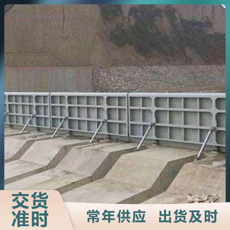 双向提拉钢制闸门