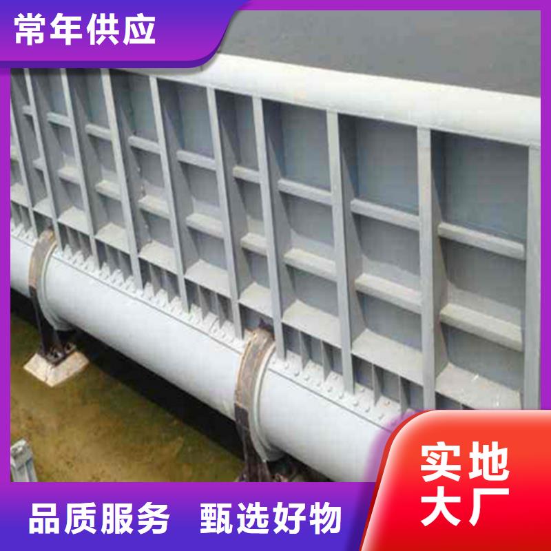 钢制一体闸门公司