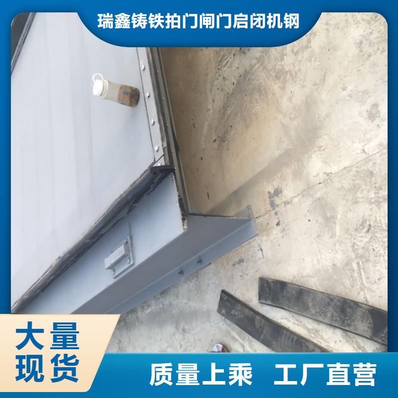 耐腐蚀钢制闸门