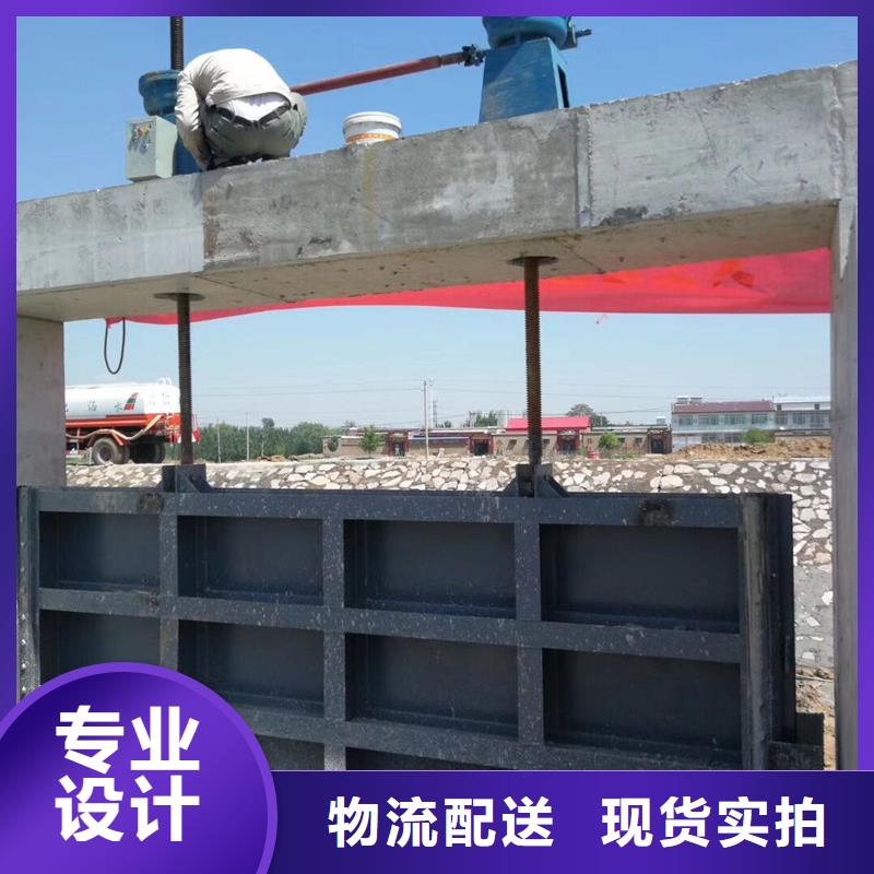 底孔平面闸门