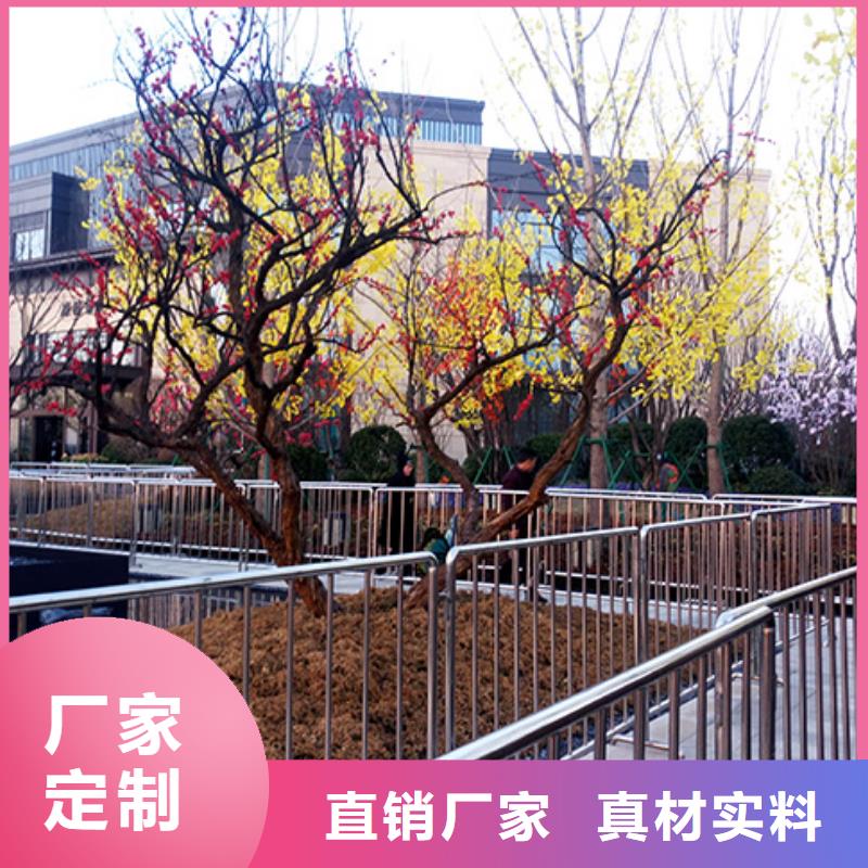 铁马护栏出租篷房出租明码标价