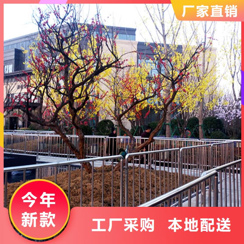 铁马护栏出租婚礼篷房出租多家服务案例