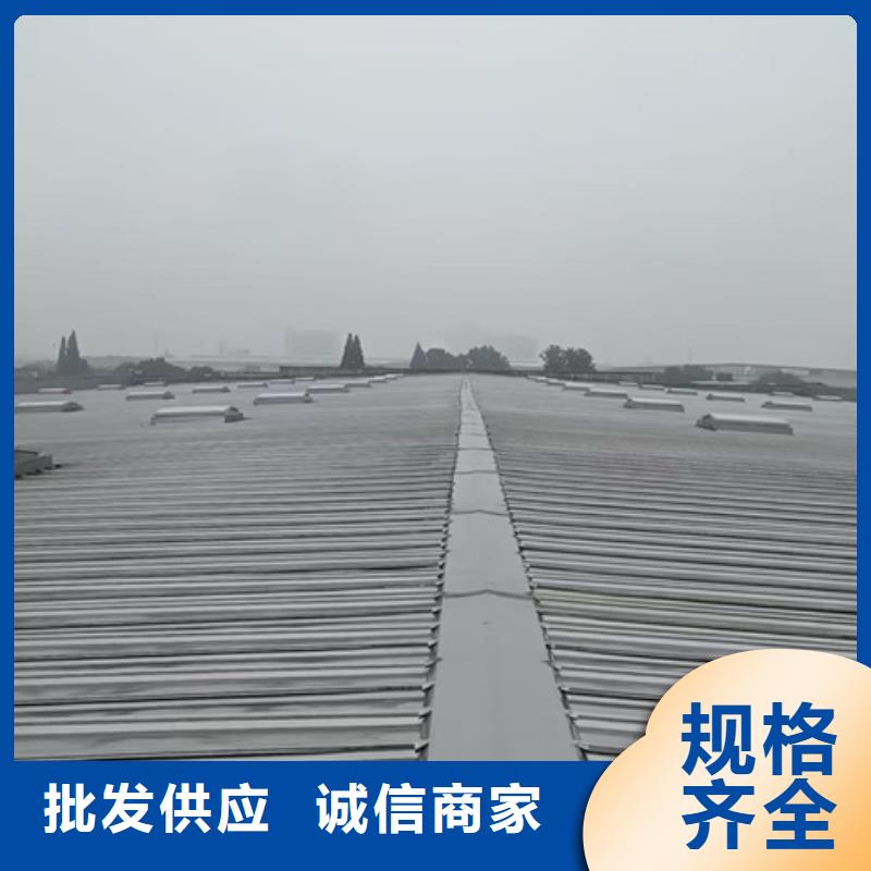 8型圆拱型电动采光天窗（侧开式一）供应商可定制