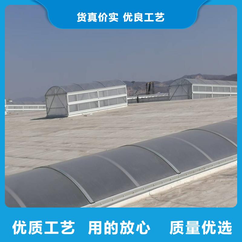 19CJ87-2采光排烟天窗质优价廉