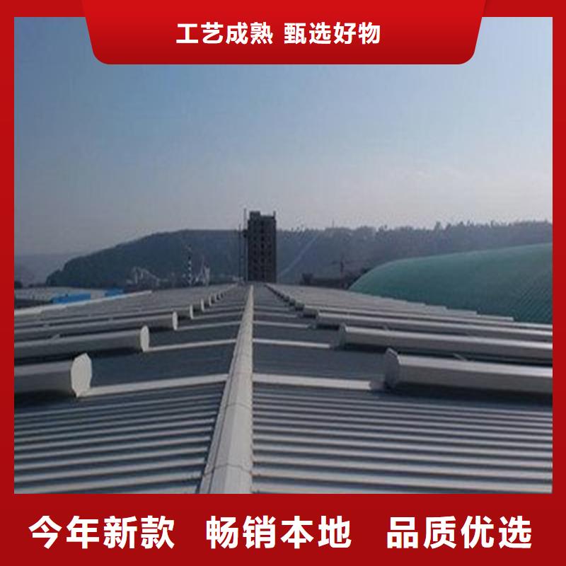 10E型薄型通风天窗（防雪启闭式）厂家直供