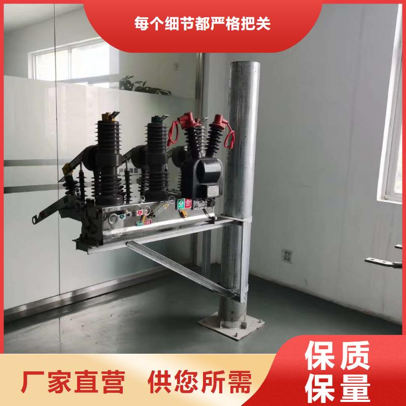 户外智能高压真空断路器断路器型号生产厂家