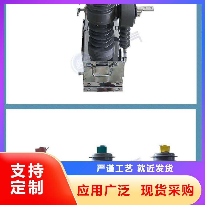 真空断路器看门狗厂家直销户外高压真空断路器