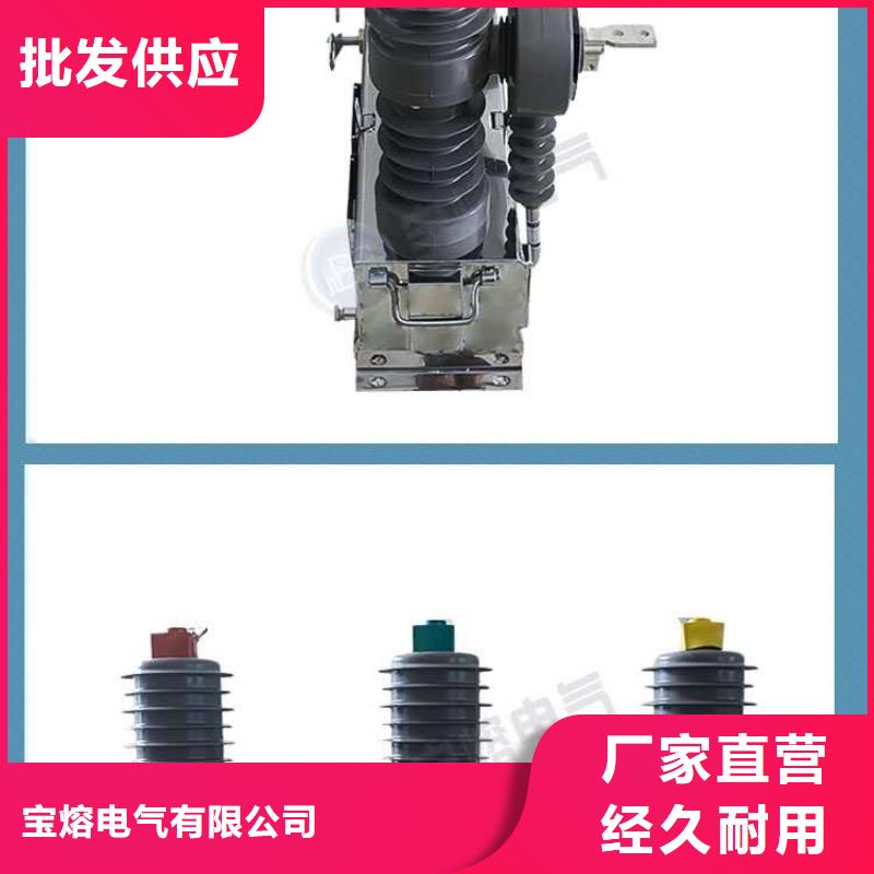 真空断路器不锈钢智能手动开关跌落式熔断器RW12规格齐全
