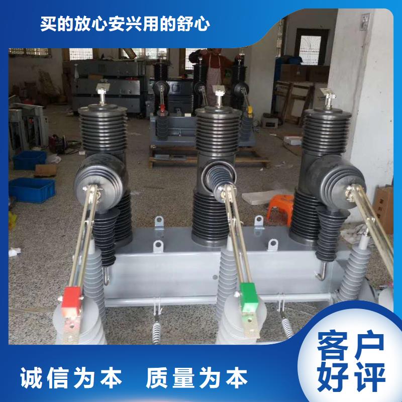 ZW8-12G户外高压真空断路器ZW32A-12G/T630
