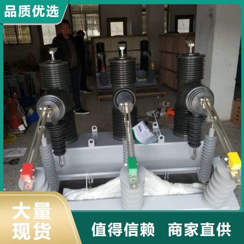 高压真空断路器户外柱上开关看门狗智能隔离手动