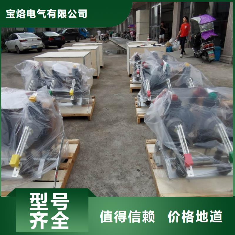 户外柱上高压真空断路器ZW32-12/T630-12.5型号齐全现货