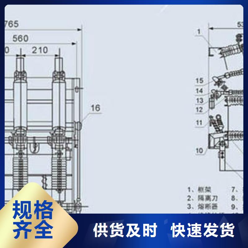FKN12-12D/630负荷开关高压负荷开关厂家现货