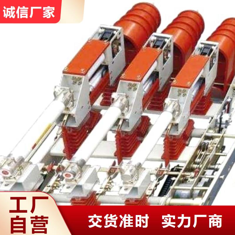 高压负荷开关现货FZW32-12/630-20高压熔断器