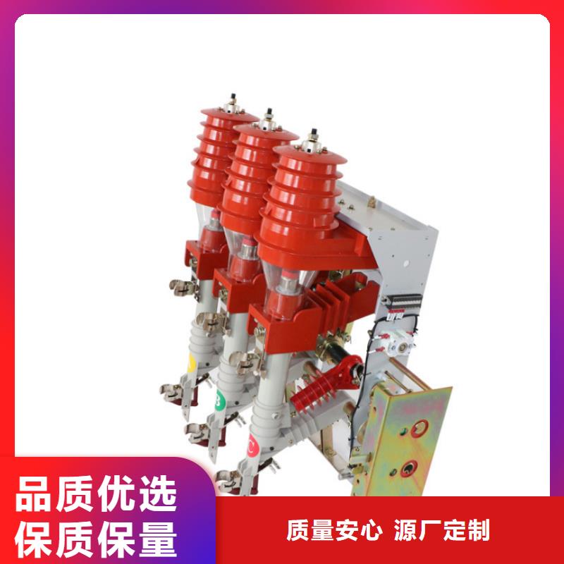 35KV高原型户外高压真空负荷开关FZW32-40.5