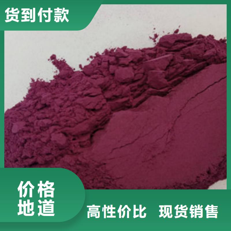 紫地瓜苗子（脱毒苗）批发厂家