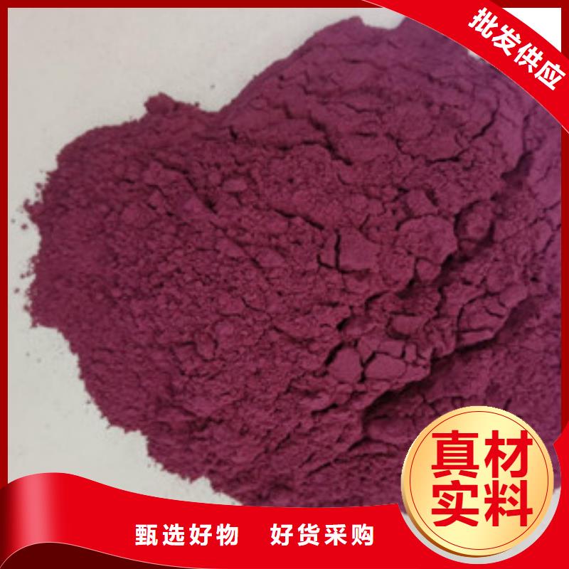 紫地瓜苗批发销售
