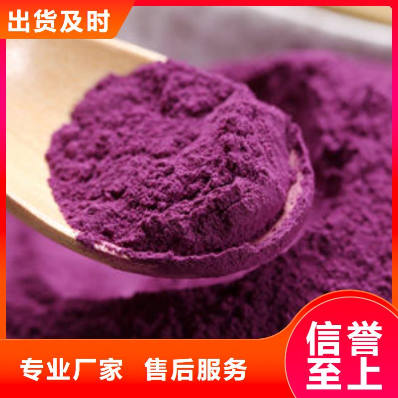 紫薯苗子报价
