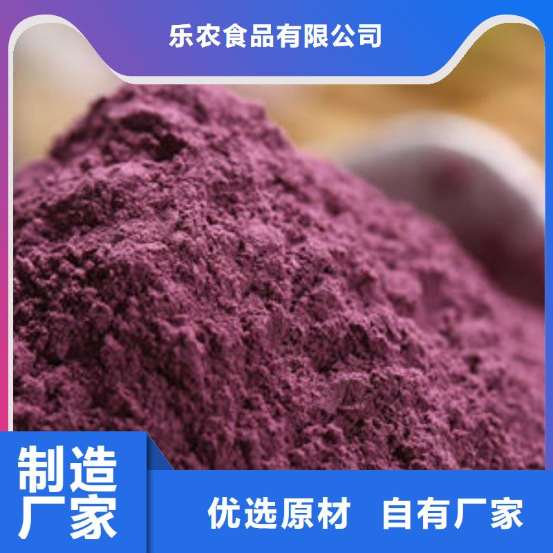 紫番薯苗（脱毒苗)厂家现货直销