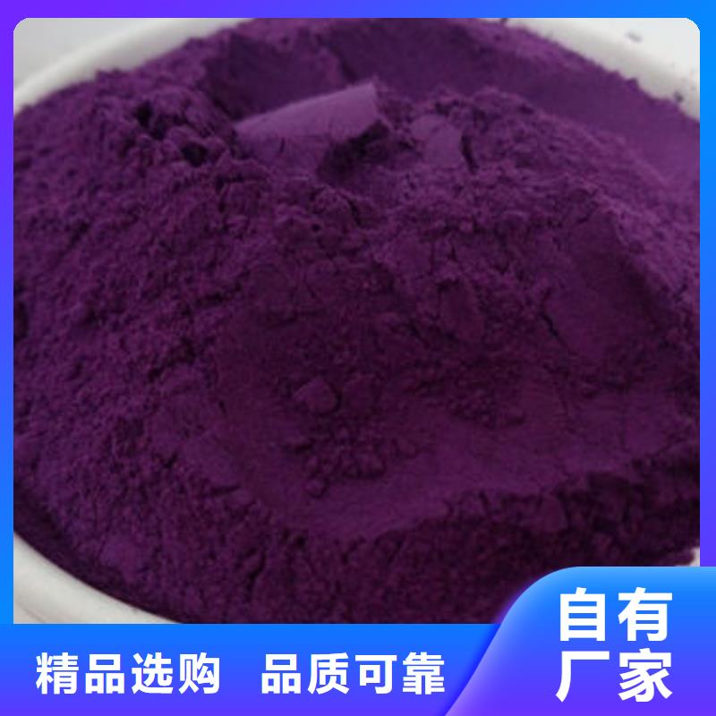 脱毒紫薯苗（绫紫品种）基地育苗