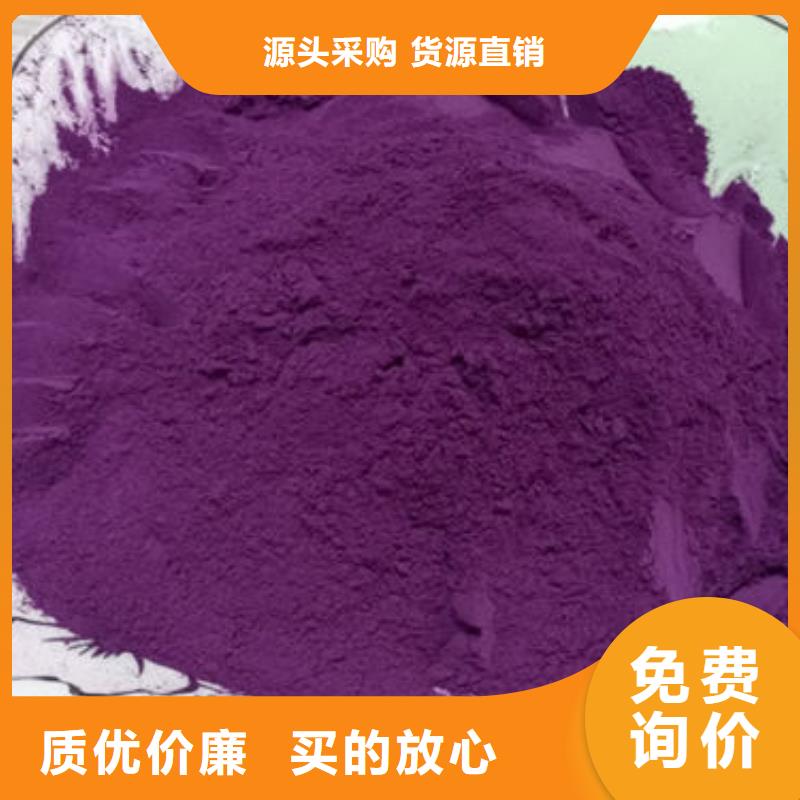 脱毒紫薯苗（绫紫品种）基地种植