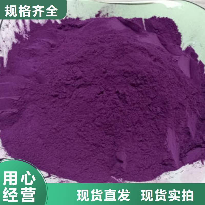 紫地瓜苗子（脱毒苗）市场行情