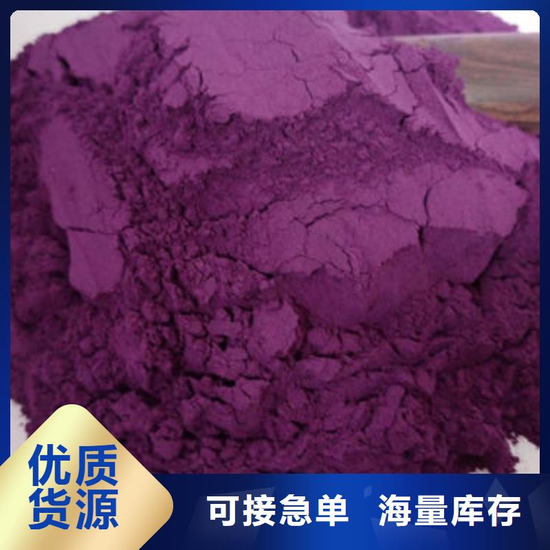 紫番薯苗（脱毒苗)厂家现货直销