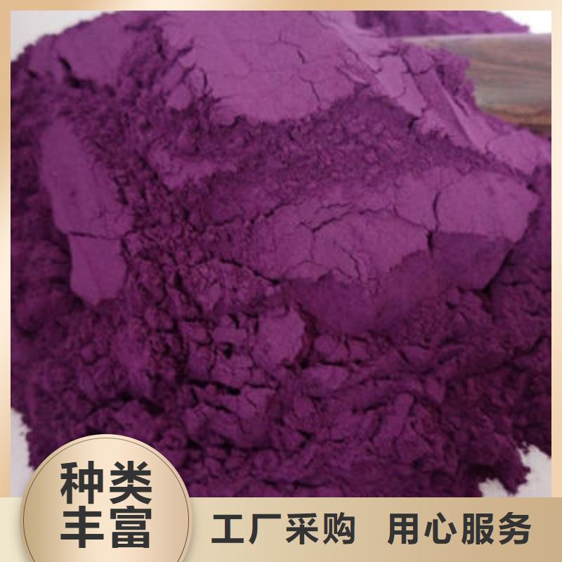 脱毒紫薯苗（绫紫品种）往年价格