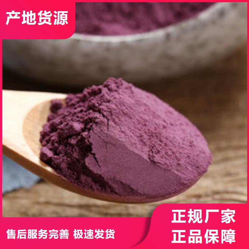 脱毒紫薯苗（绫紫品种）基地种植