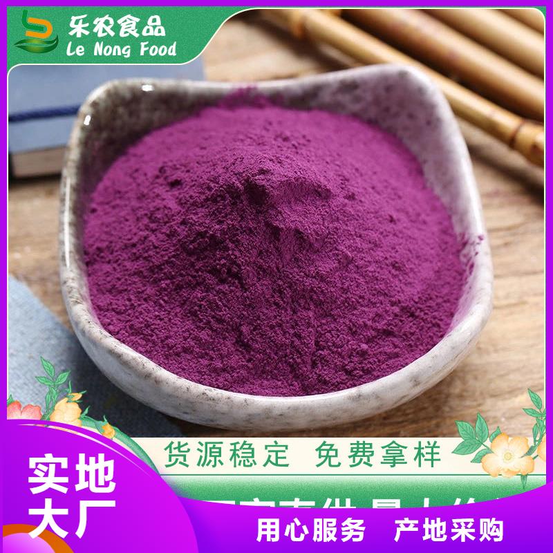 脱毒紫薯苗（绫紫品种）基地育苗