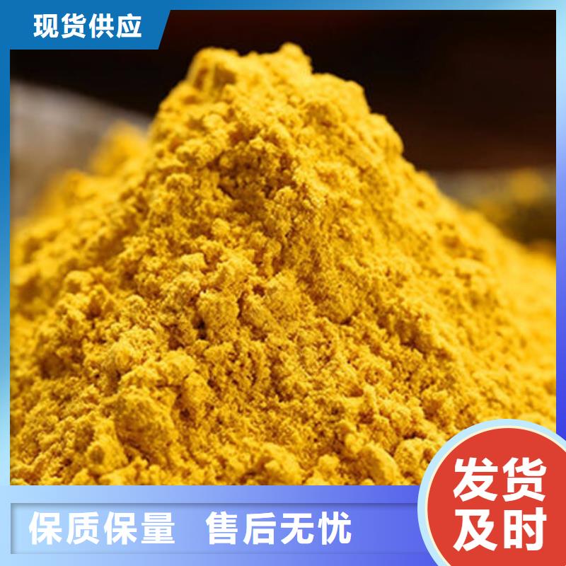 橙皮小金瓜粉（南瓜粉）今日价格