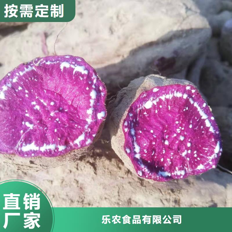 高产红薯苗（普薯32号)品种齐全