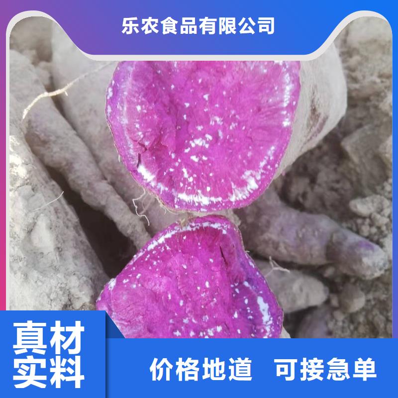 脱毒红薯苗（西瓜红）供应