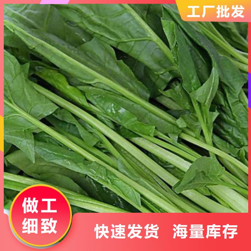 菠菜熟粉实体大厂