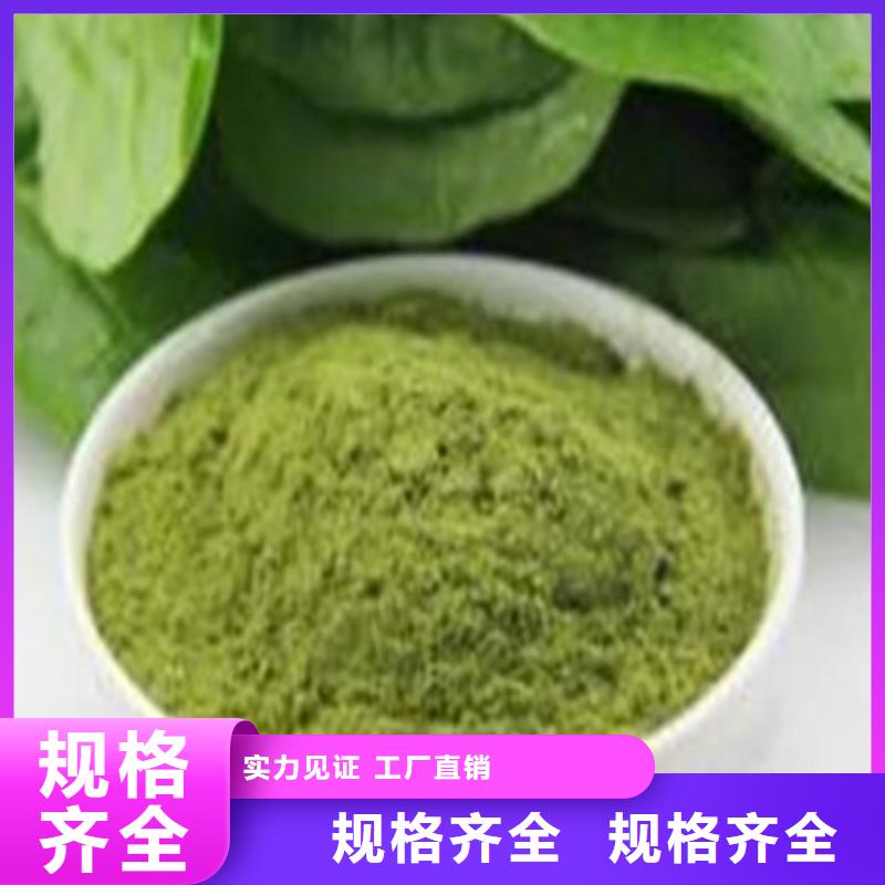 脱水菠菜粉厂家