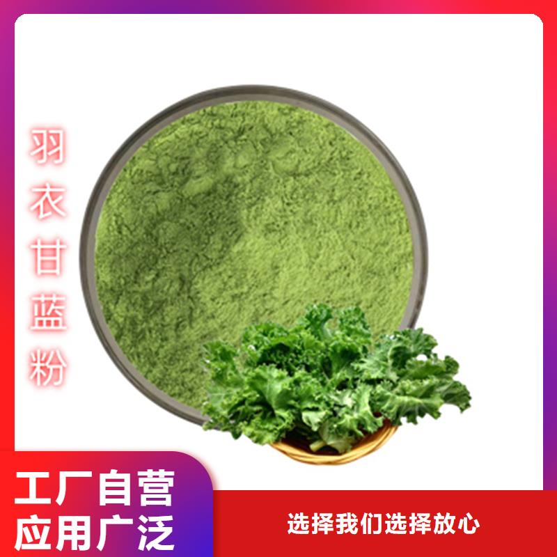 羽衣甘蓝正规厂家