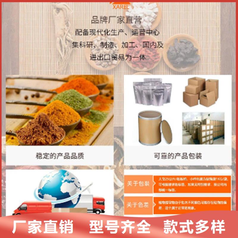 价格合理的羽衣甘蓝基地