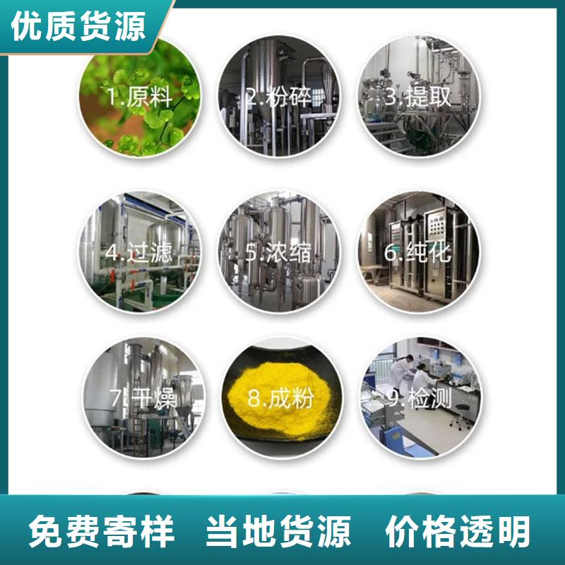 质优价廉的羽衣甘蓝公司
