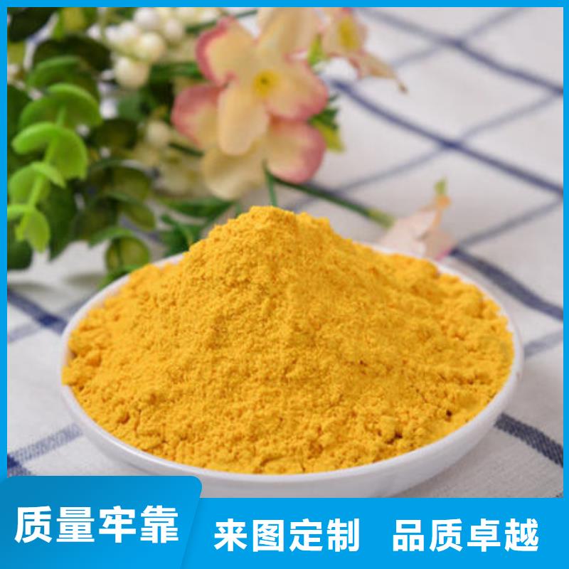 【南瓜粉灵芝盆景厂家大量现货】