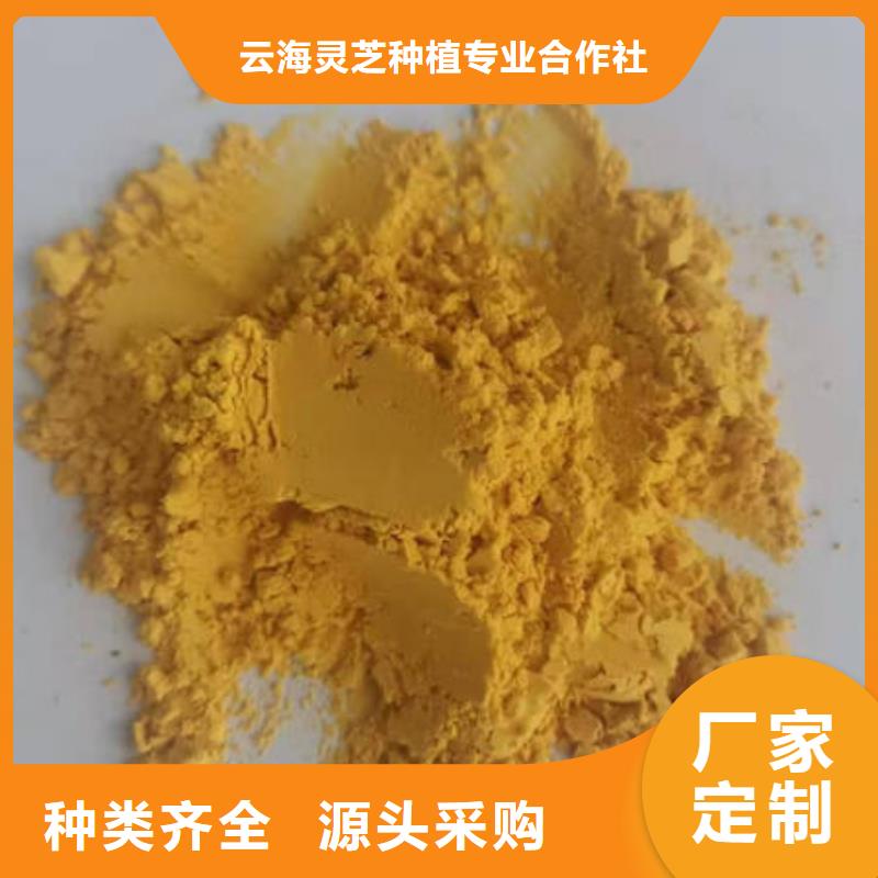 南瓜粉生产厂家