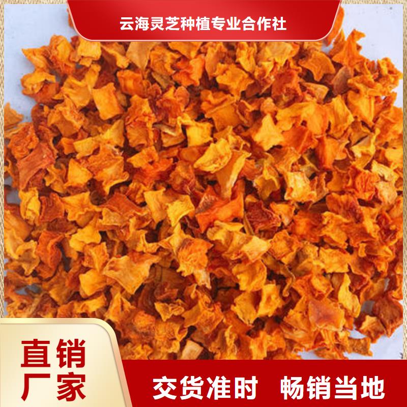 南瓜丁灵芝当地厂家值得信赖