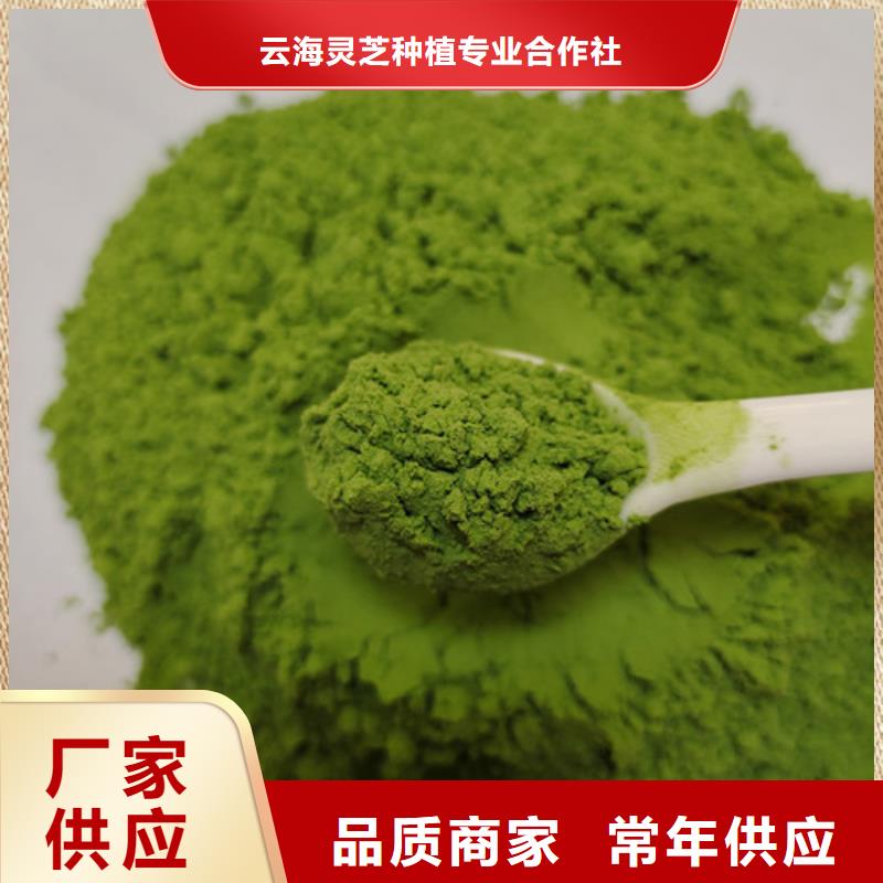 菠菜粉【灵芝菌种】工期短发货快