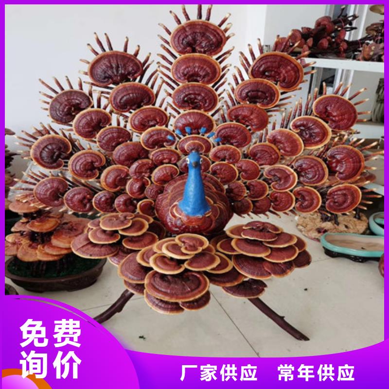 破壁灵芝孢子粉供货稳定