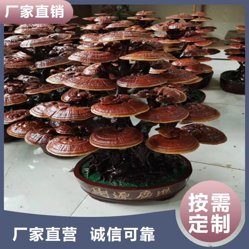 
灵芝超细粉质保2年