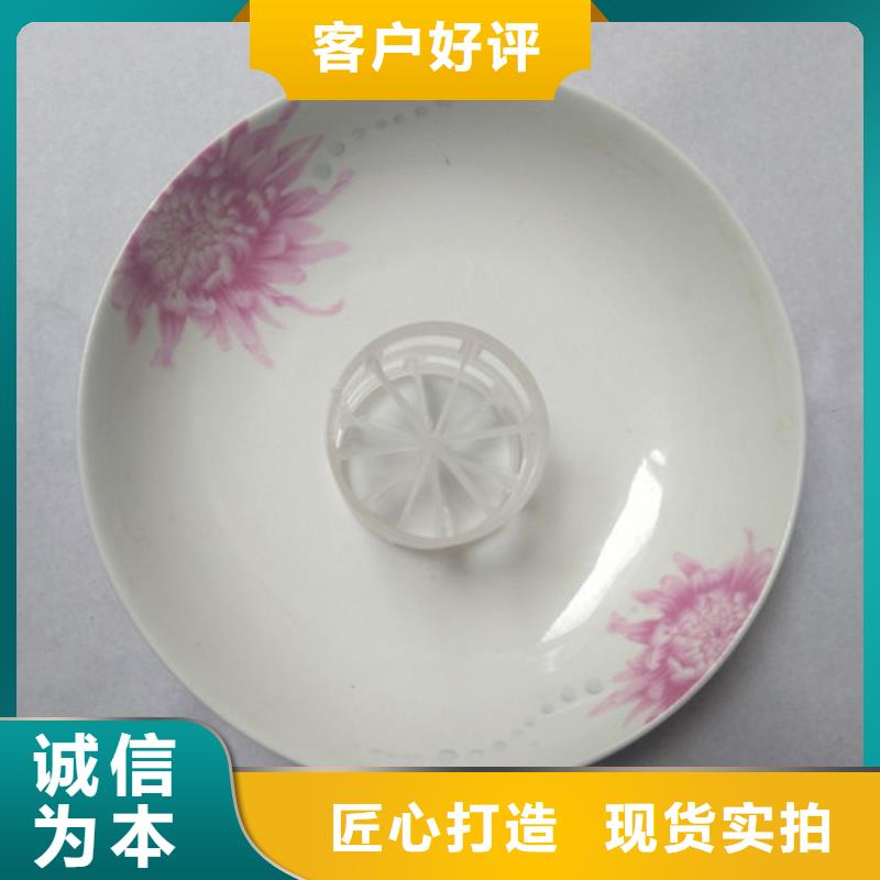 鲍尔环填料食品级硅藻土快速生产