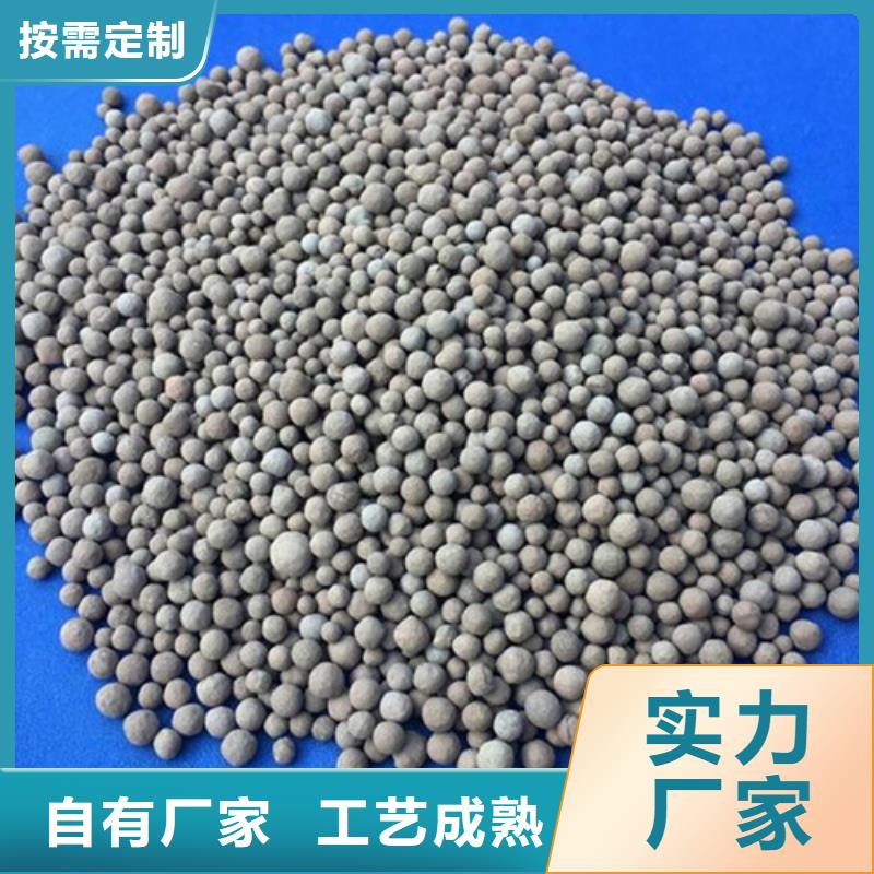 生物陶粒滤料微生物挂膜快